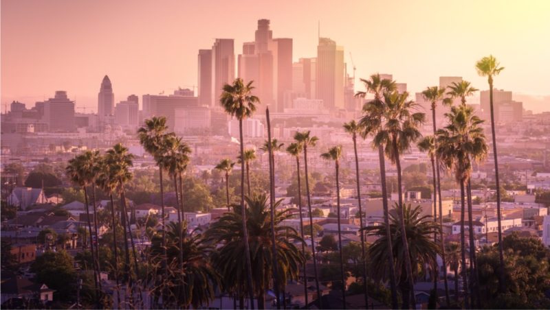View of California skyline and palm trees